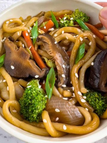 Vegan udon noodles stir-fry in a bowl.