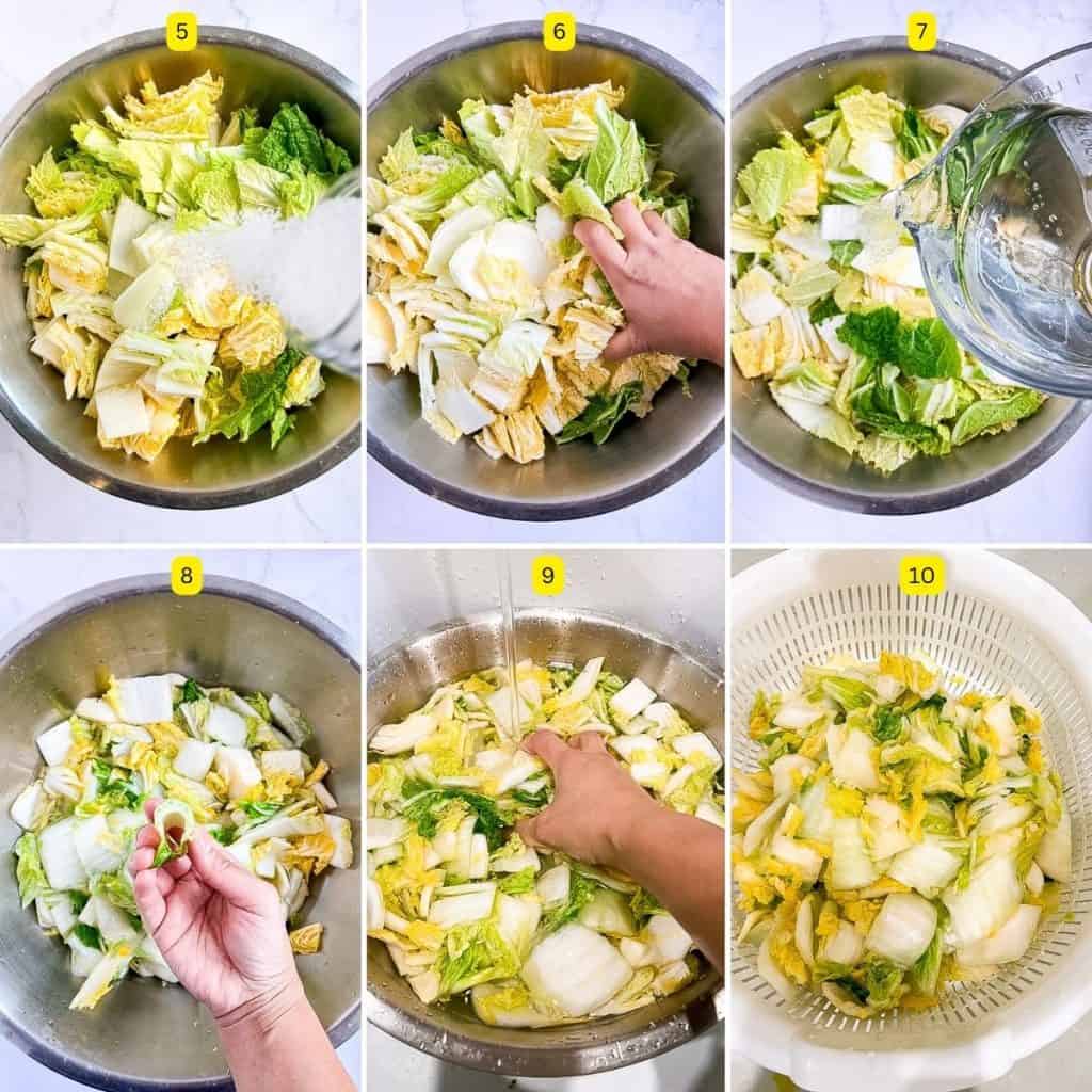 KOREAN MAKING KIMCHI visual data 7