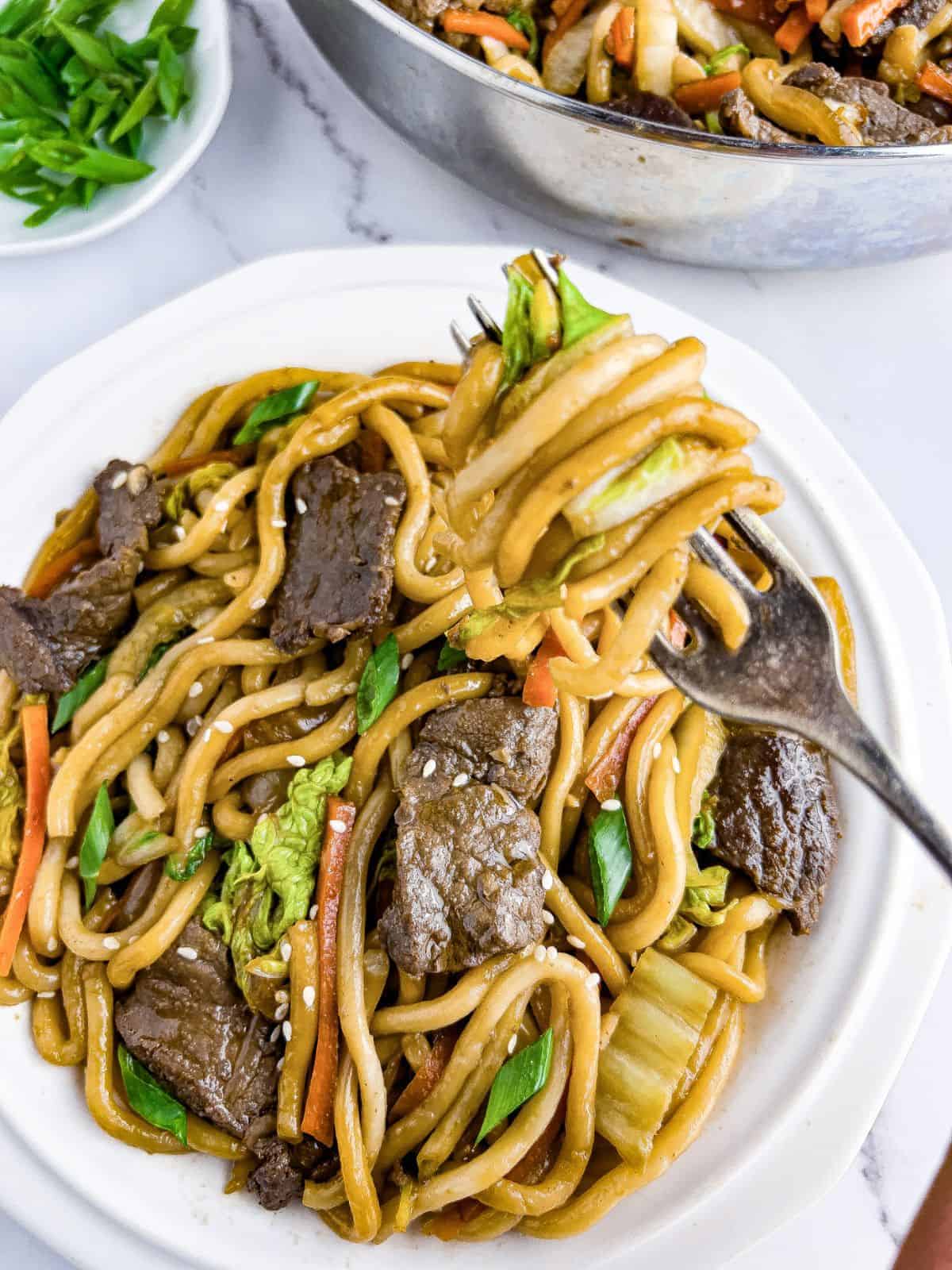 Beef udon stir-fry noodles in a plate.