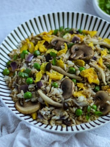 Finish dish of mushroom egg fried rice recipe.