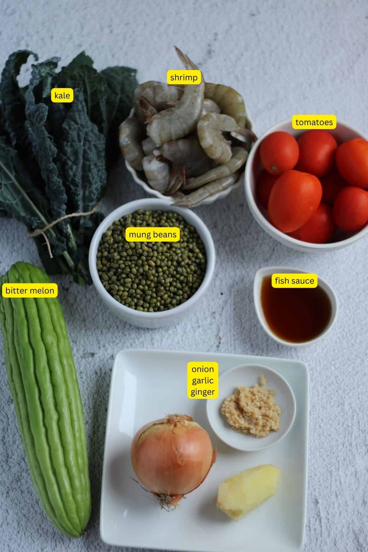 Ingredients for ginisang munggo with ampalaya recipe.